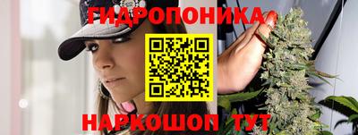 тгк Чебоксары