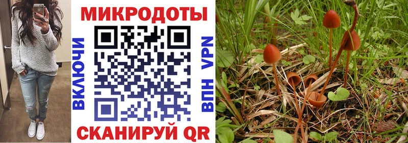 Псилоцибиновые грибы мухоморы  Северодвинск 