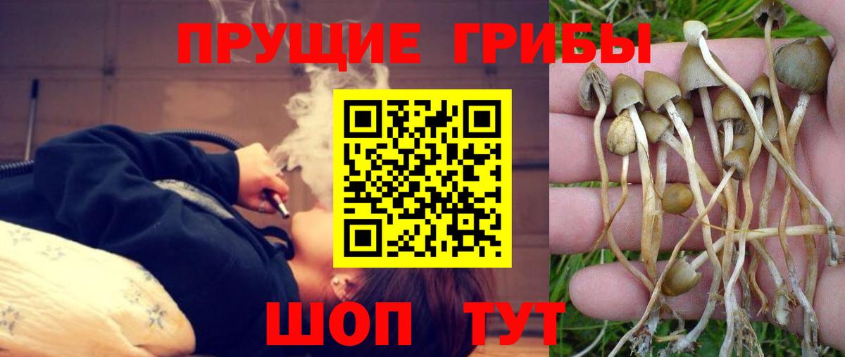Псилоцибиновые грибы прущие грибы  Вход с VPN  Галлюциногенные грибы мухоморы  Северодвинск 